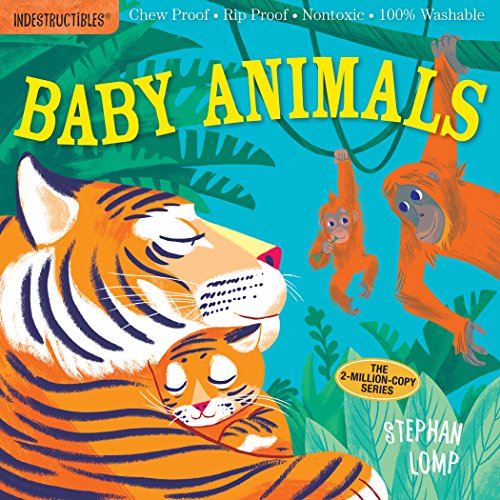 Indestructibles: Baby Animals: Chew Proof  Rip Proof  Nontoxic  100% Washable (Book for Babies, Newborn Books, Safe to Chew)