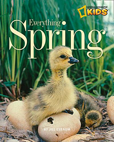 Everything Spring (Picture the Seasons)